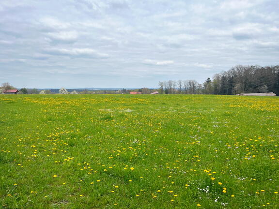 23-04-30 15-25-46 5253